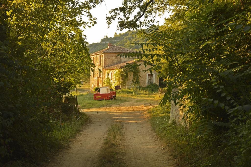 Agriturismo Cardito Santa Rufina Extérieur photo