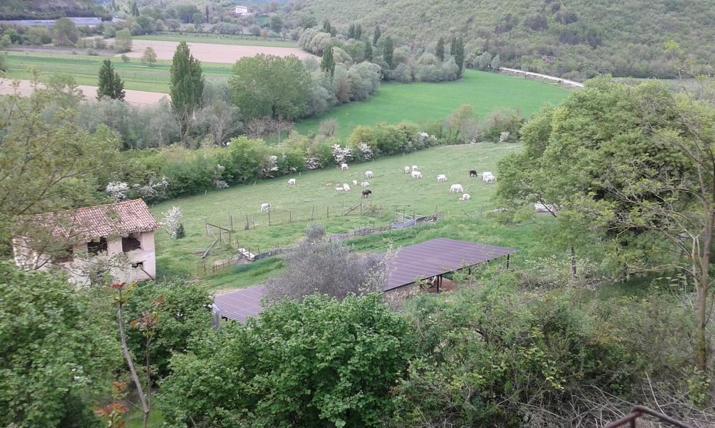 Agriturismo Cardito Santa Rufina Extérieur photo