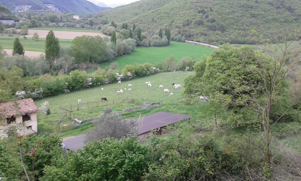 Agriturismo Cardito Santa Rufina Extérieur photo