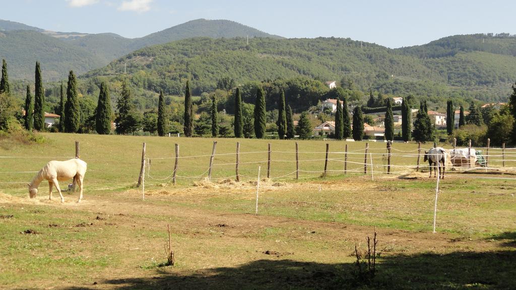 Agriturismo Cardito Santa Rufina Extérieur photo