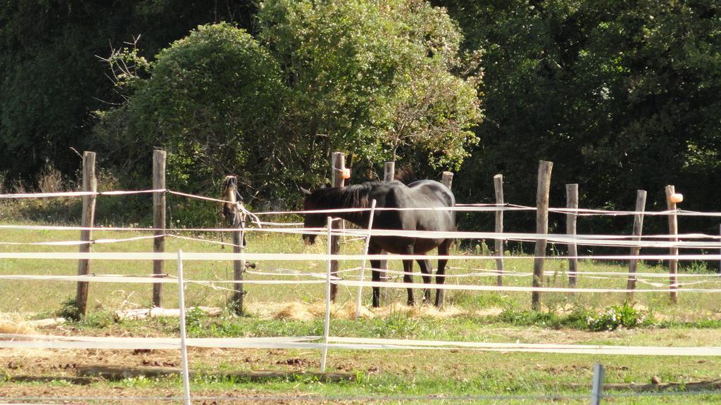 Agriturismo Cardito Santa Rufina Extérieur photo
