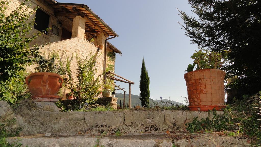 Agriturismo Cardito Santa Rufina Extérieur photo